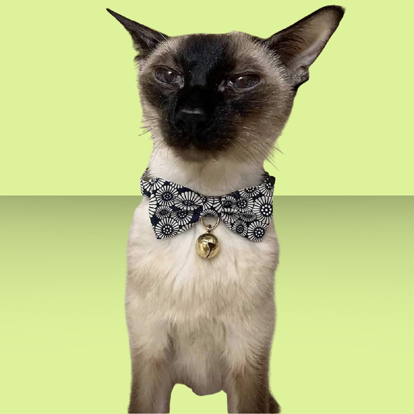 Necoichi Kiku Ribbon Bow Tie Cat Collar Navy
