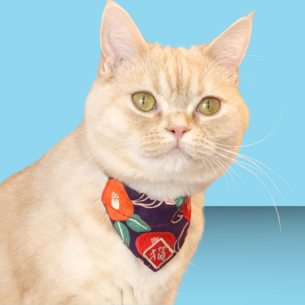 Necoichi Kimono Cat Bandana Collar Purple