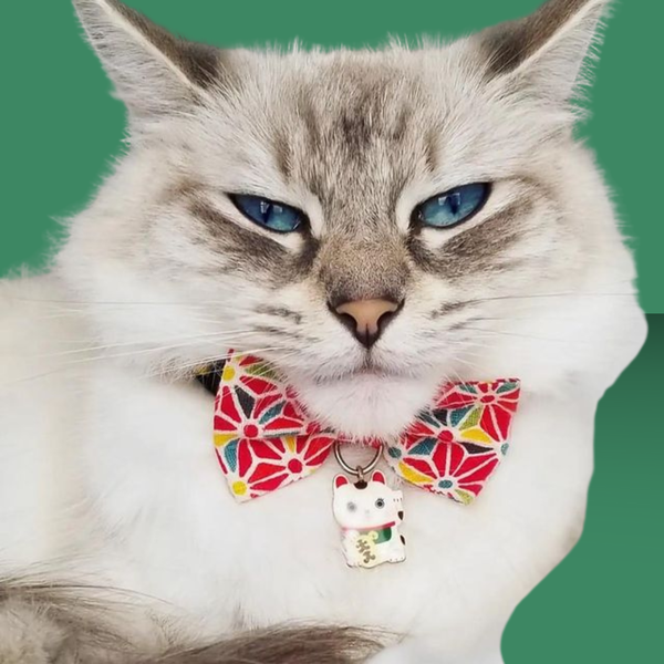Necoichi Lucky Cat Charm Bow Tie Cat Collar Red