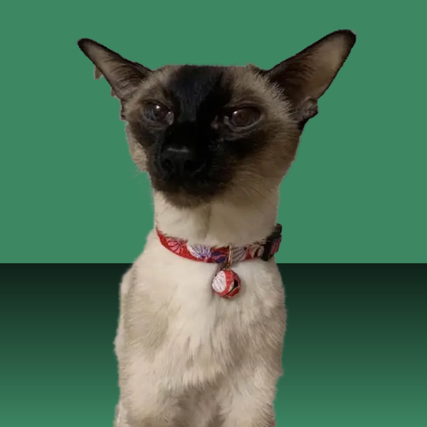 Necoichi Origami Balloon Bell Cat Collar Red