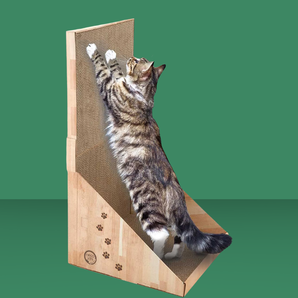Necoichi Stretch & Scratch Wall Cat Scratcher