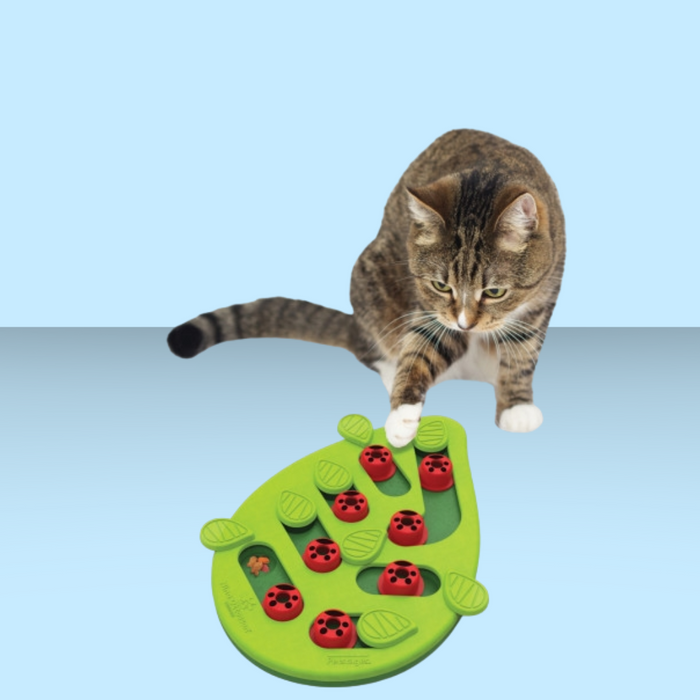Nina Ottosson Buggin Out Puzzle & Play Cat Toy