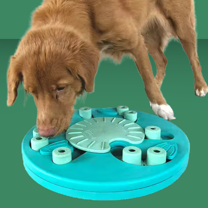 Nina Ottosson Dog Worker Puzzle