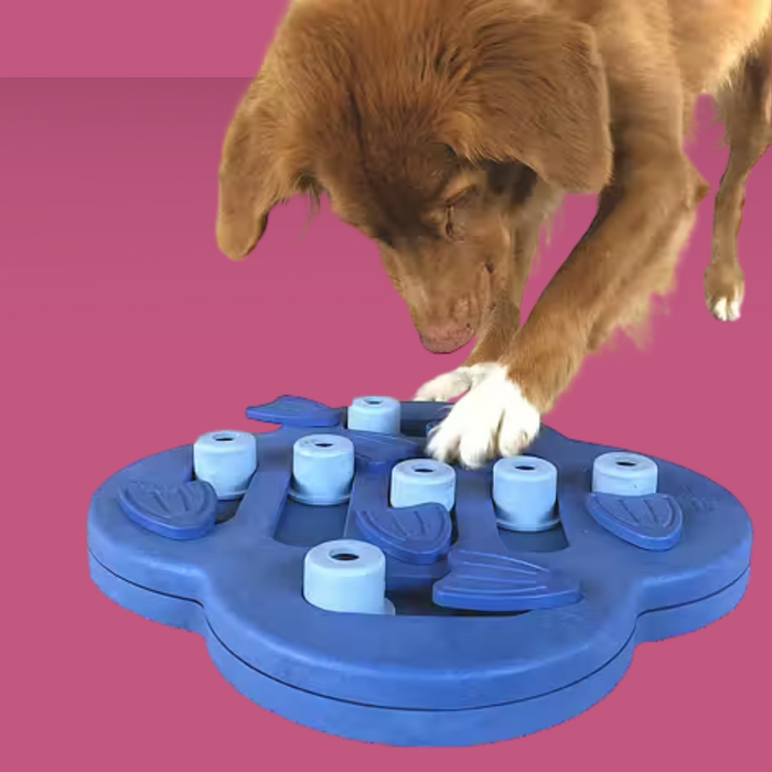 Nina Ottosson Hide N' Slide Puzzle
