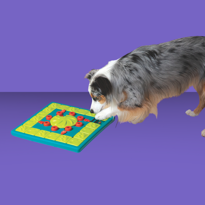 Nina Ottosson MultiPuzzle Dog Game