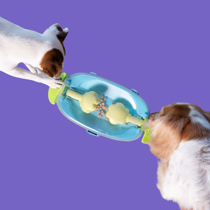Nina Ottosson Paw N' Play Puzzle