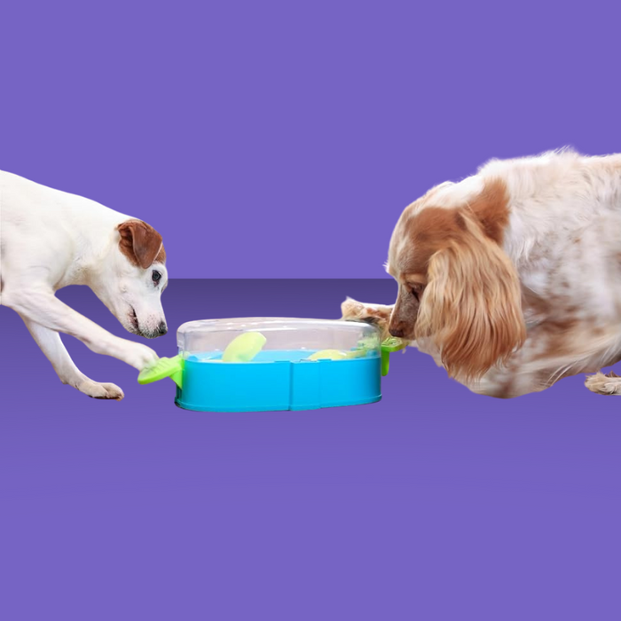 Nina Ottosson Paw N' Play Puzzle