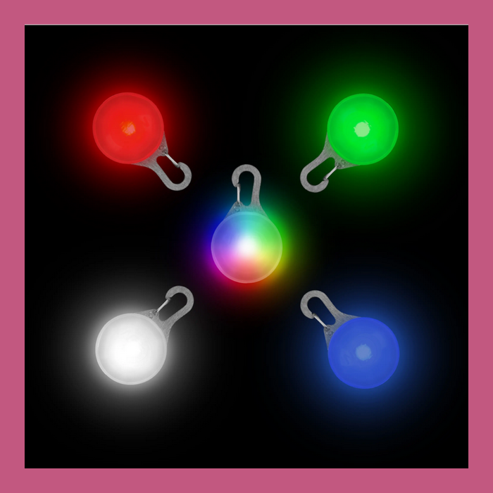 NiteIze Rechargeable Collar Light Disc-O Tech