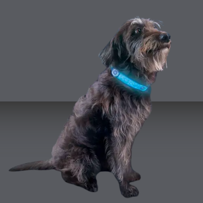 NiteIze Rechargeable LED Collar Cover Grey