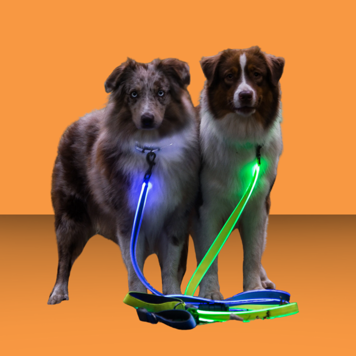 NiteIze Rechargeable LED Leash Blue