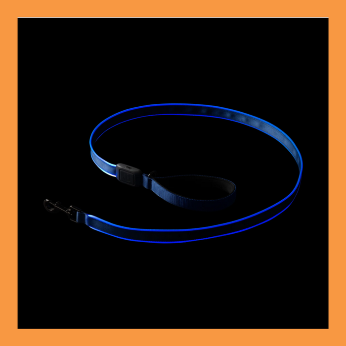 NiteIze Rechargeable LED Leash Blue