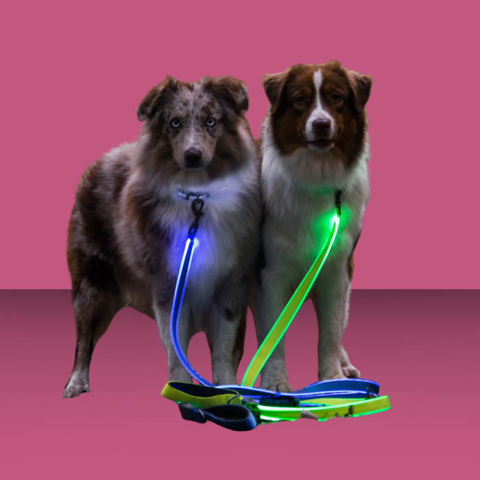 NiteIze Rechargeable LED Leash Lime Green