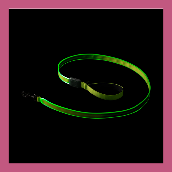 NiteIze Rechargeable LED Leash Lime Green