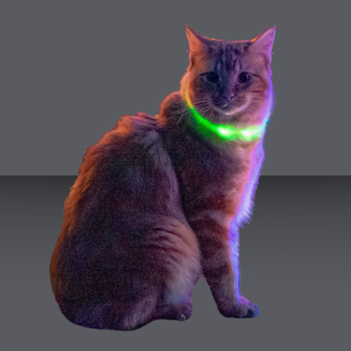 NiteIze Rechargeable LED Safety Necklace Disc-O Select Cat