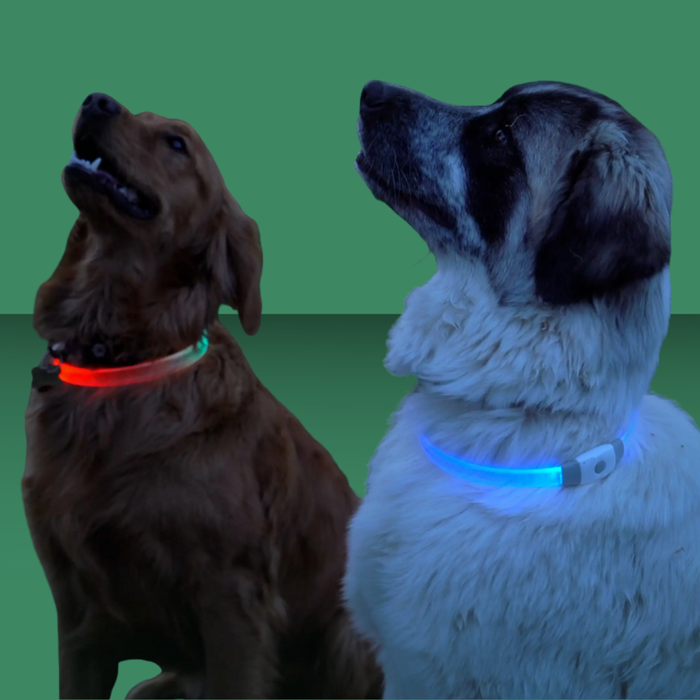 NiteIze Rechargeable LED Safety Necklace Disc-O Select Max