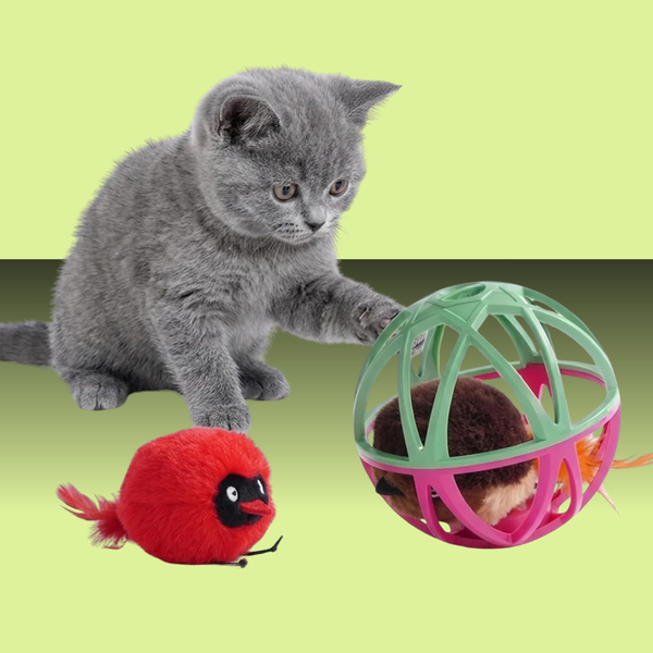 Nocciola Catnip Bugs with Ball