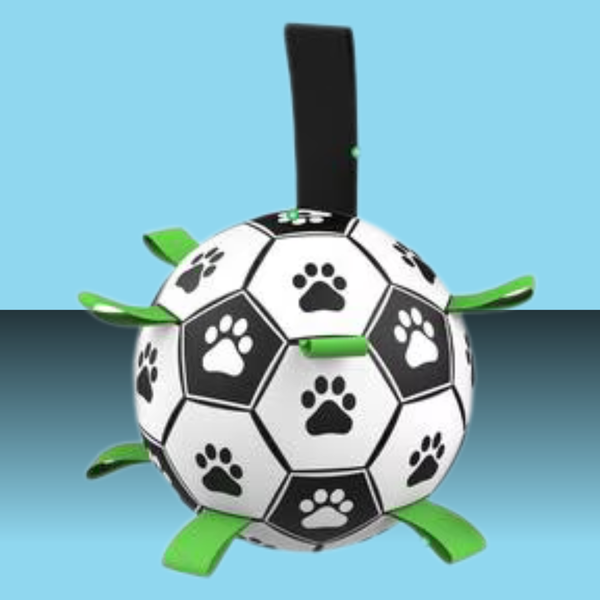 Nocciola World Cup Soccer Ball