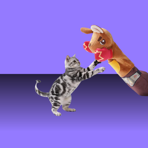 Nocciola Wrestling Glove Cat Toy 22"
