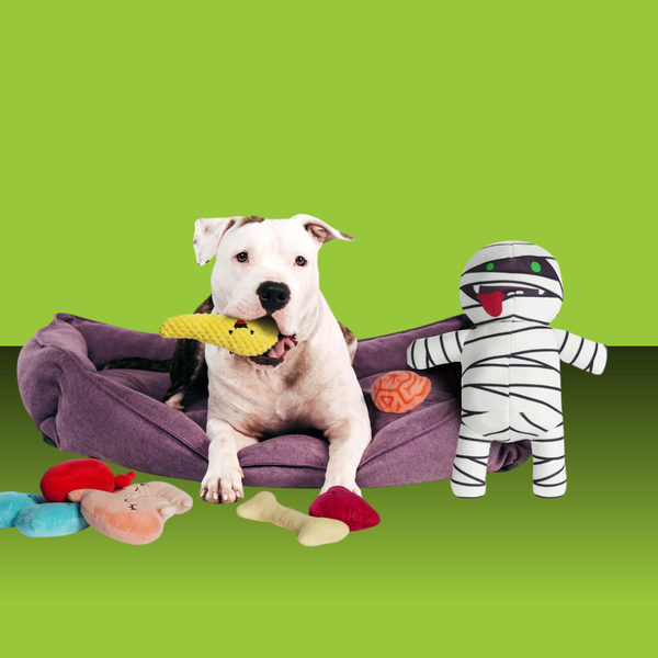 Nocciola Zombie 9 in 1 Toy Pack