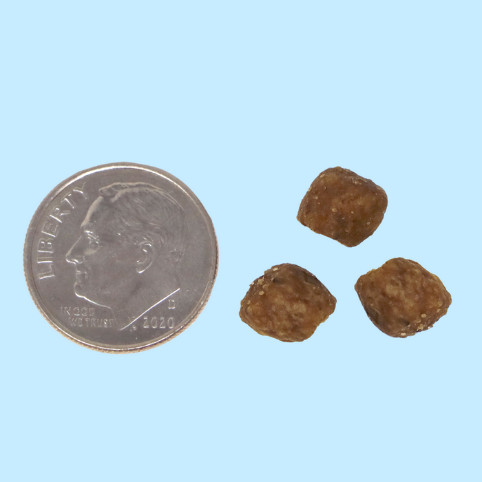 Nutrisource GF Chicken & Pea Small Bites 12#