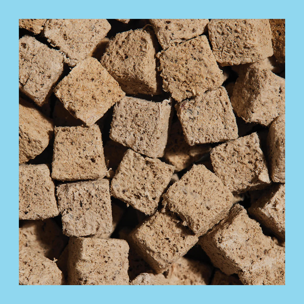 Open Farm Cat FD Kitty Cubes Treats Salmon & Mackerel 1.5oz