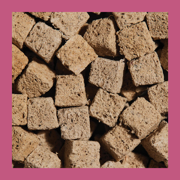 Open Farm Cat FD Kitty Cubes Treats Surf & Turf 1.5oz