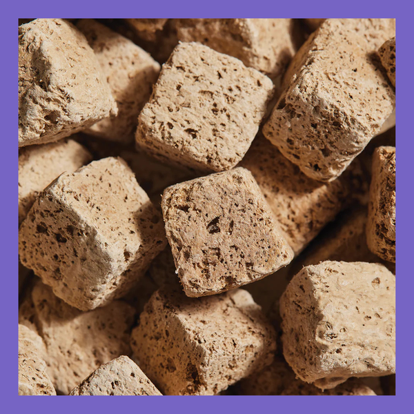Open Farm FD Cubes Lamb Lung 3oz