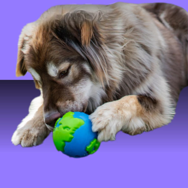Orbee Tuff Planet Ball L
