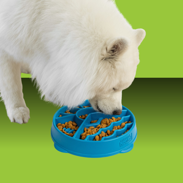 Outward Hound Fun Feeder Mountain Blue L