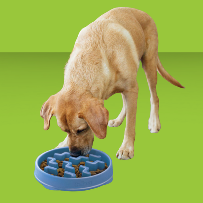 Outward Hound Fun Feeder Slo-Bowl Blue L