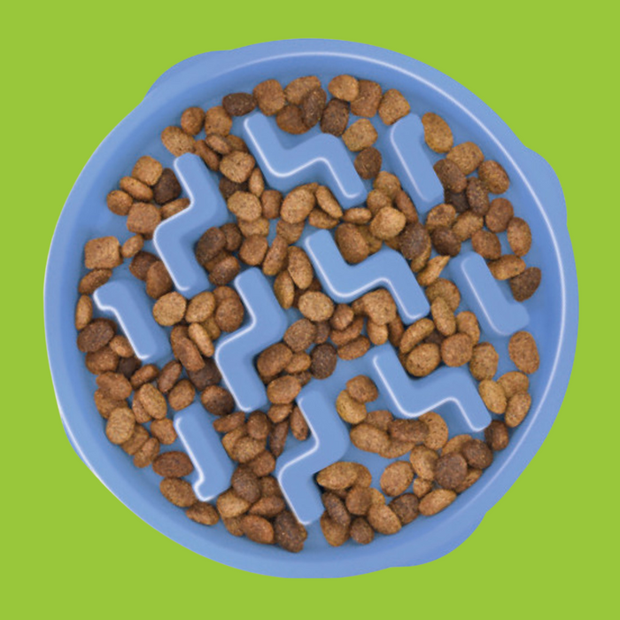 Outward Hound Fun Feeder Slo-Bowl Blue S