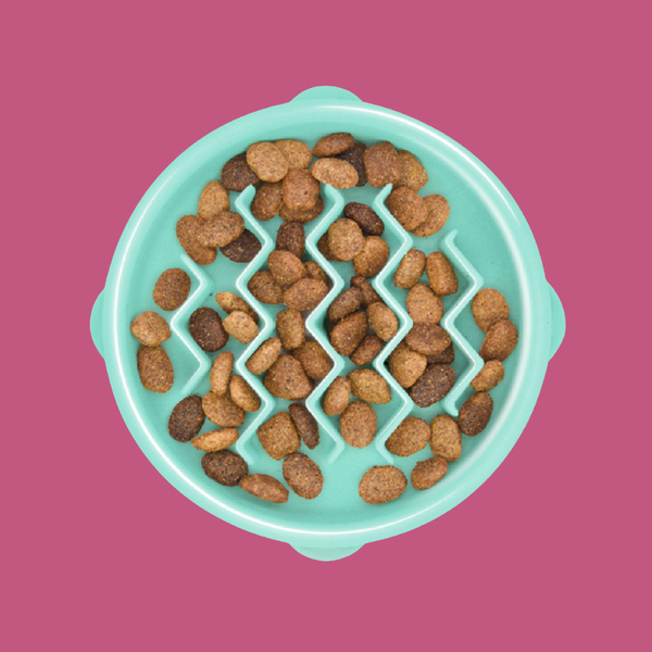 Outward Hound Fun Feeder Slo-Bowl Mint Mini