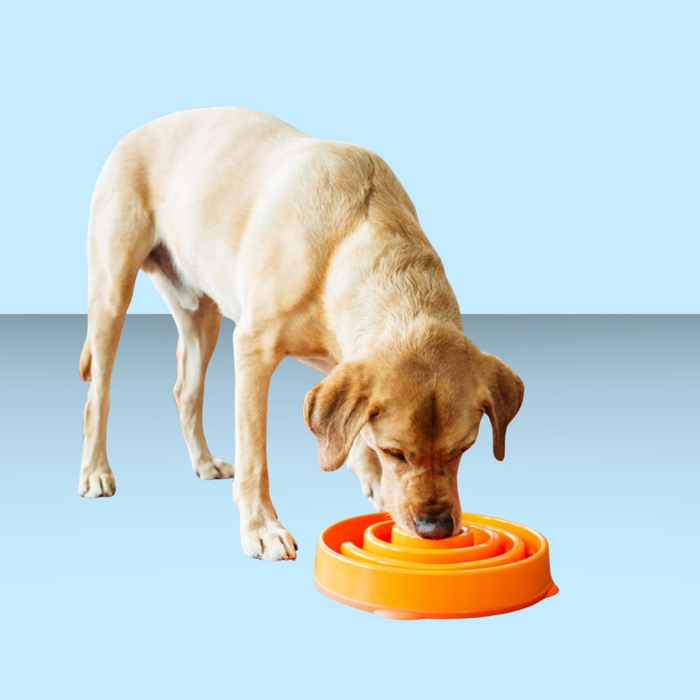 Outward Hound Fun Feeder Slo-Bowl Orange S