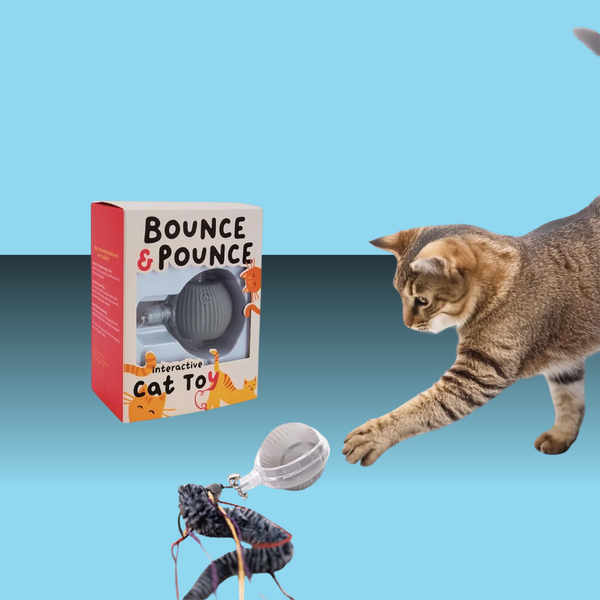 Paw Paw Bounce & Pounce Interactive Ball
