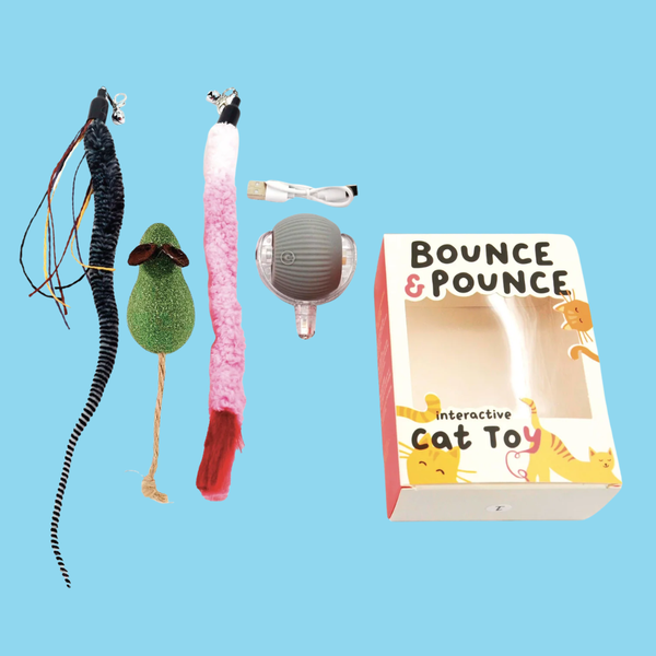 Paw Paw Bounce & Pounce Interactive Ball