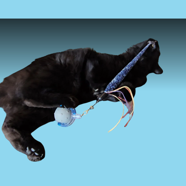 Paw Paw Bounce & Pounce Interactive Ball