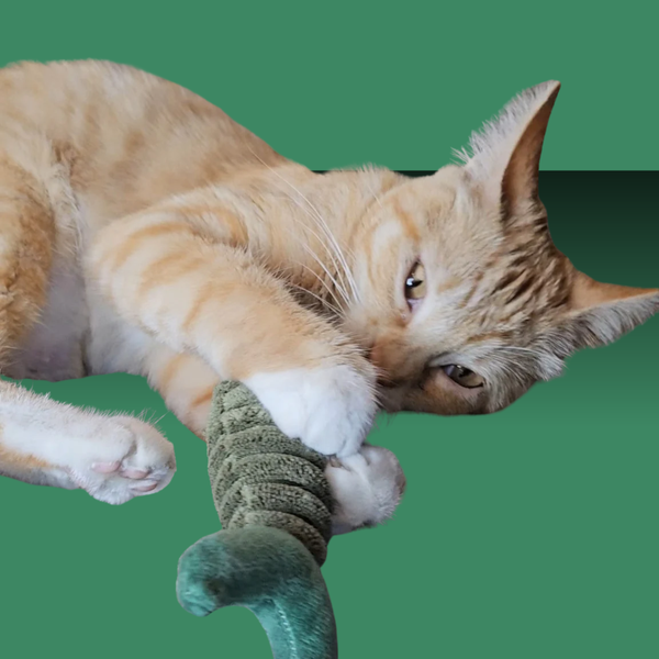 Paw Paw Felt Fish 2 Pack with Catnip Spray