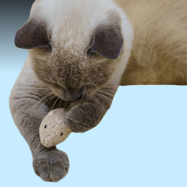 Paw Paw Felt Mice 3 Pack with Catnip Spray