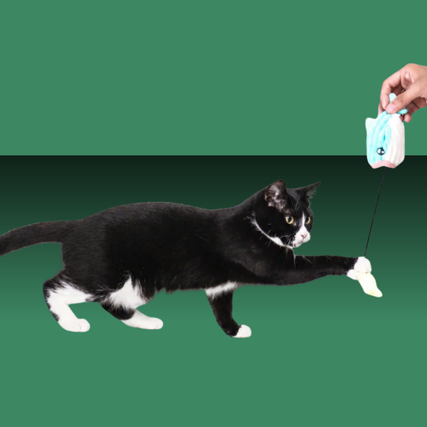 Paw Paw Nibbles the Whale Interactive Pocket Toy