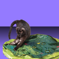 Paw Paw Pounce Mat 2.0
