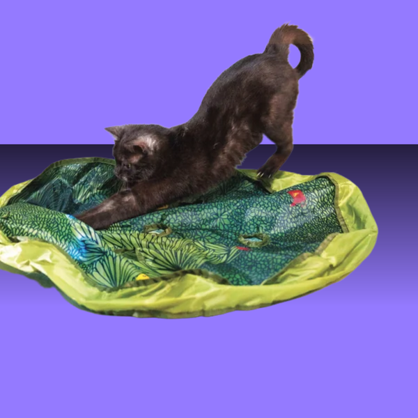 Paw Paw Pounce Mat 2.0