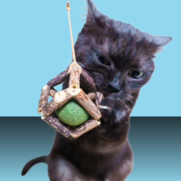 Paw Paw Silvervine and Catnip Shapes