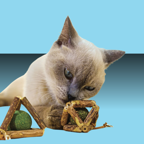 Paw Paw Silvervine and Catnip Shapes