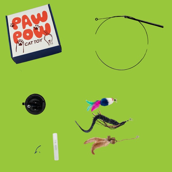 Paw Pow Interactive Wand