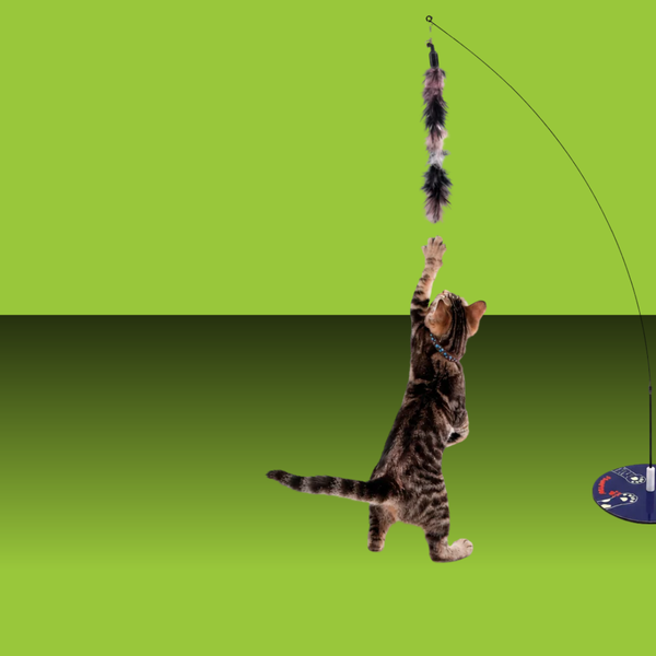 Paw Pow Interactive Wand