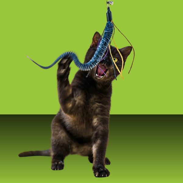 Paw Pow Interactive Wand