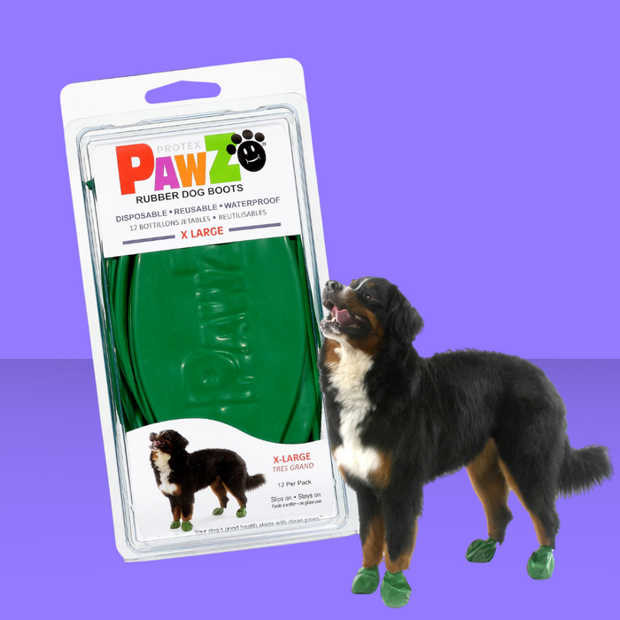 Pawz Boots XL