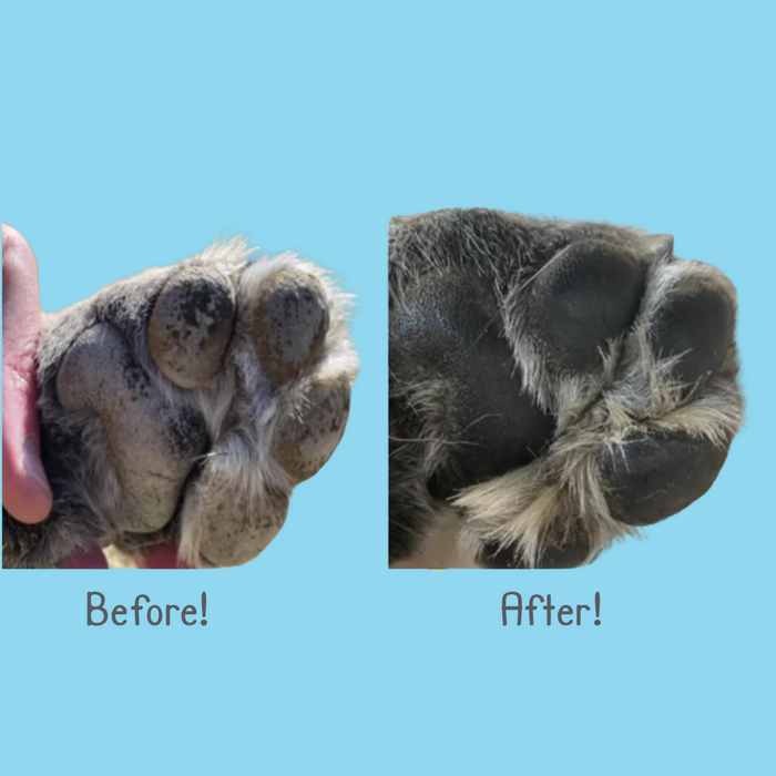 Pawz Max Wax 60g