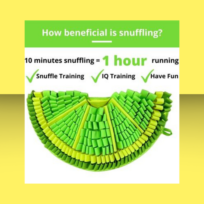 PawzNDogz Snuffle Mat Zesty Lime