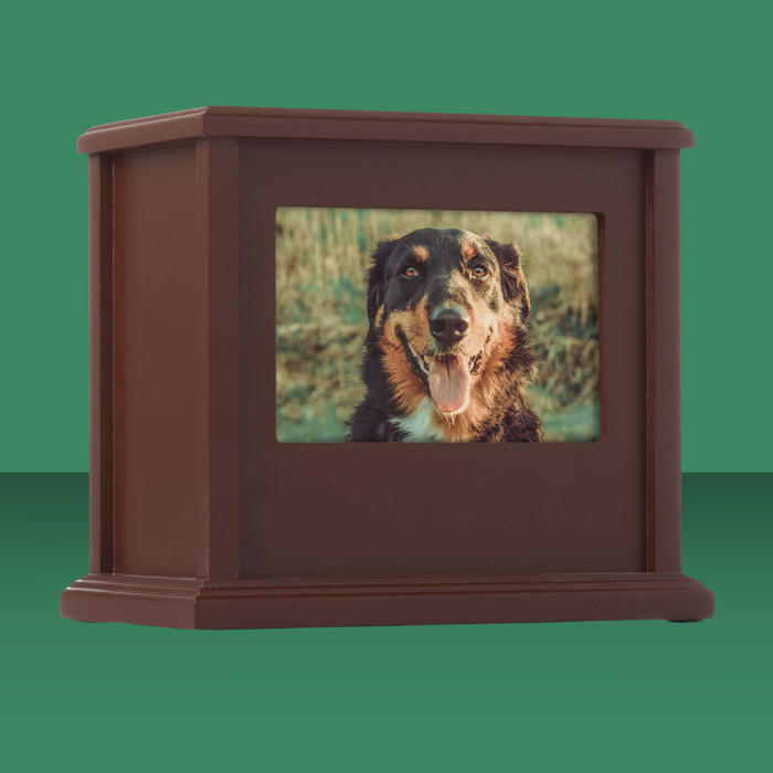 Pearhead Pet Photo Keepsake Memory Box Espresso